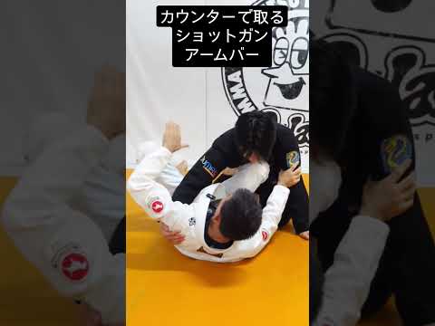 【柔術】カウンターで取るショットガンアームバー