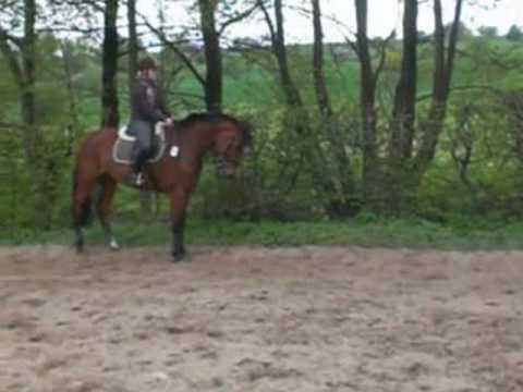 La Luna Esperanza ♥