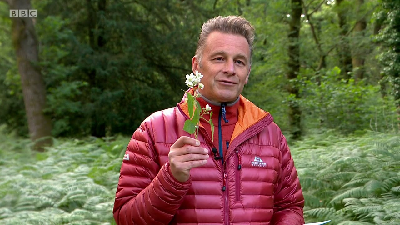 Springwatch 2020 Episode 9