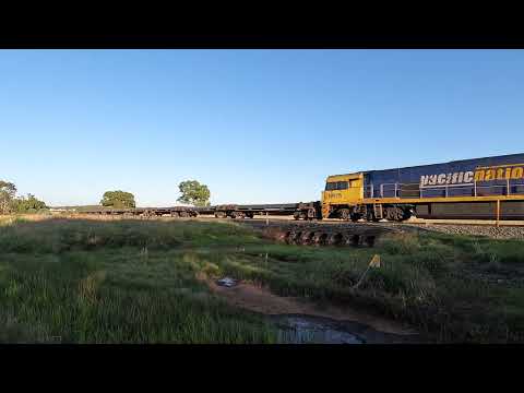 NR101 & NR115 Condobolin East NSW.  Wed 26th Feb 2025