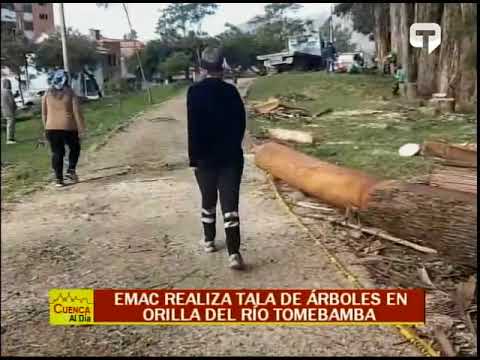 EMAC realiza tala de árboles en orilla del río Tomebamba