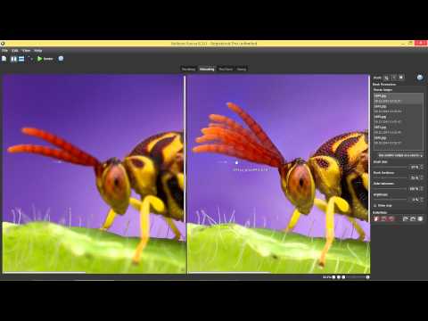Retouching with Helicon Focus - Copy from source