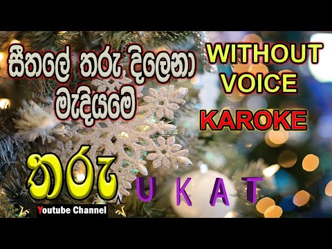 seethale tharu dilena madiyame/සීතලේ තරු දිලෙනා මැදියමේ/sinhala christmas hymnskaroke(THARU channel)