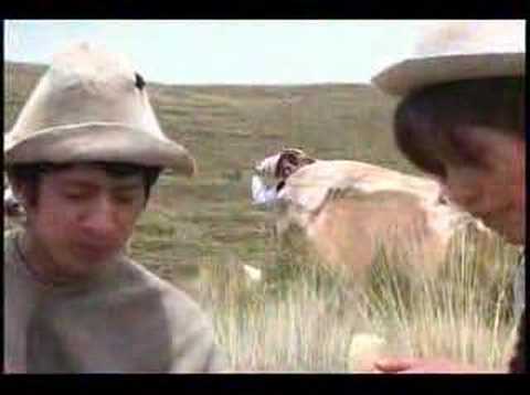 La miel _ Quise quitarme la vida