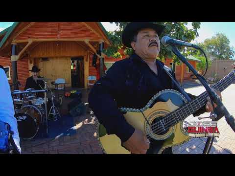 Los Profetas Del Norte - "El Compa Rogelio" En Vivo 2019