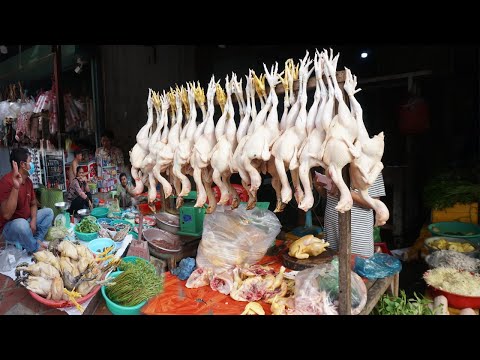 Prek Phnov Food Market Show - Plenty Fresh Mouse, River Fish, Vegetable, Pork & More in Market