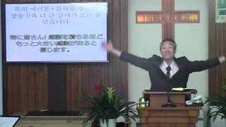 2019년7월7일, 역대상 16:23-34(온 땅이여 여호와께 감사하라)