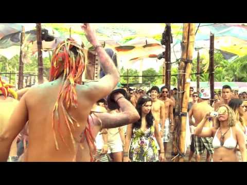 Psychowave live @ Terra em Transe Festival 2012 (HD)