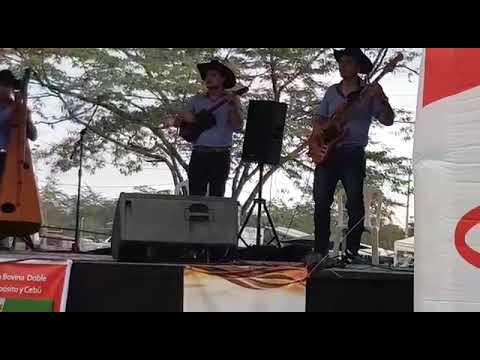 Un Llanero Cumplidor