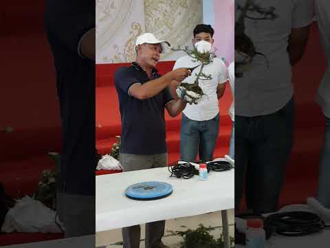 Lớp Bonsai 2022 - 14