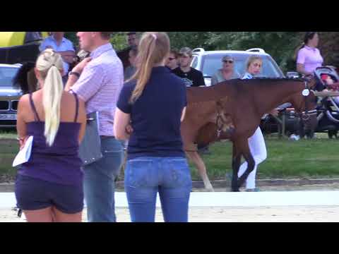 11 – Neunmalklug B, HF v. Numerus Clausus - Charivari, *28.05.2018