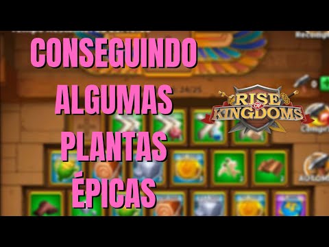 EVENTO CAÇA À HISTÓRIA | CONSEGUINDO ALGUMAS PLANTAS ÉPICAS - RISE OF KINGDOMS