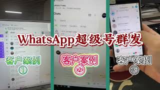WhatsApp群发案例丝滑稳定、独家技术，欢迎有实力的大佬来撩