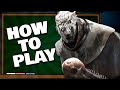 An Absolute Beginner's Guide to Killer [DBD]