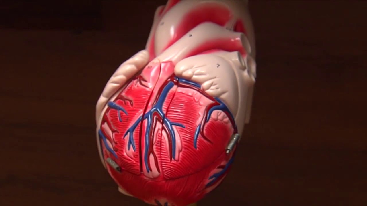 Jorge Nara Sauceda-22