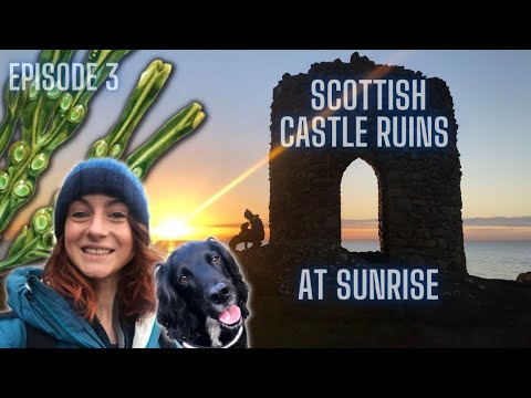 Scottish Castle Ruins at Sunrise - Coastal Walk Elie to St Monans, Fife + Painting Seaweed