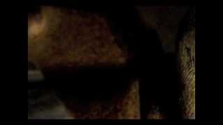 the friend catcher - a Birthday Party cover