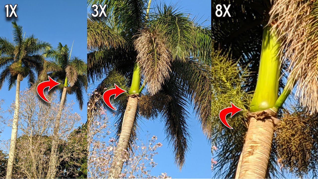 Google Pixel 4A Camera Test - Camera Sample Leaks & Zoom Sample