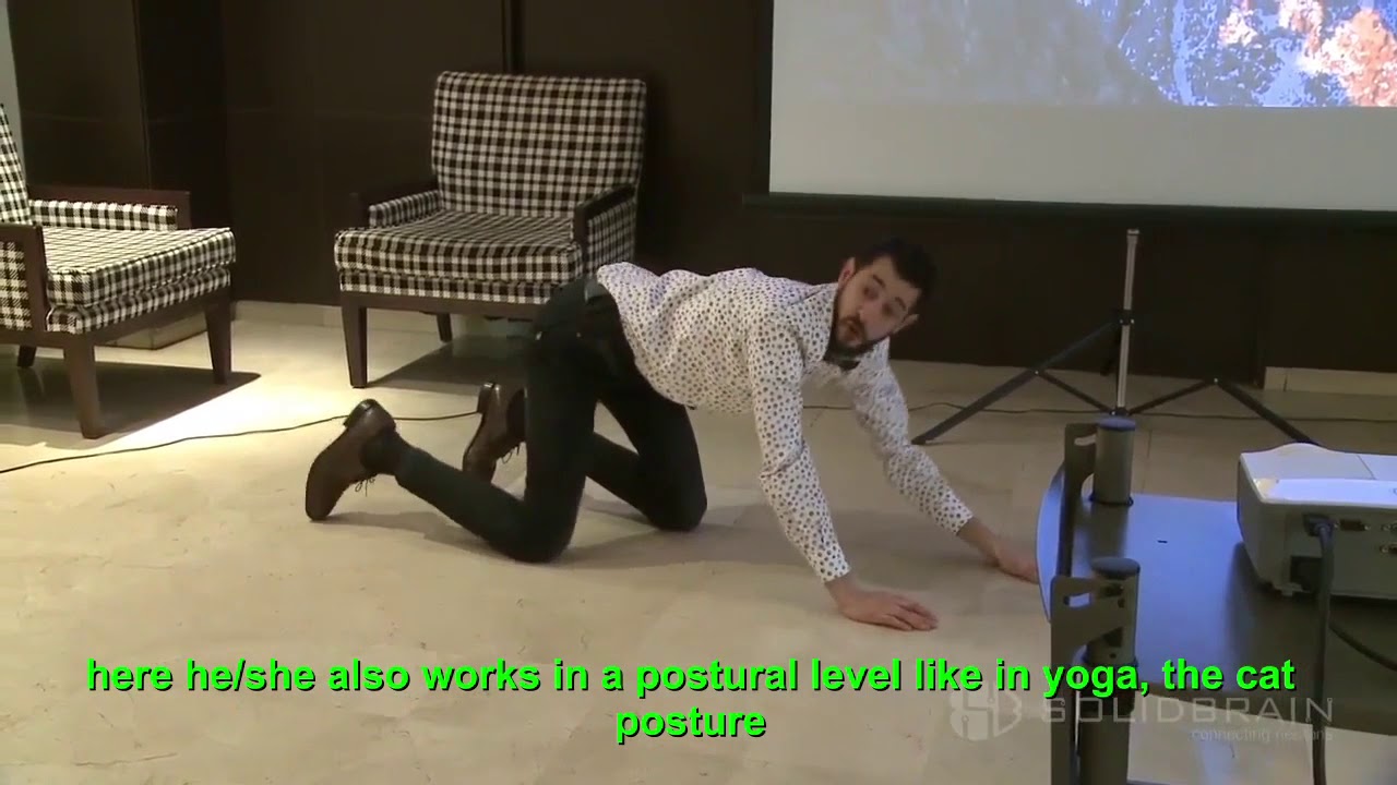 Etapas desarrollo y aprendizaje