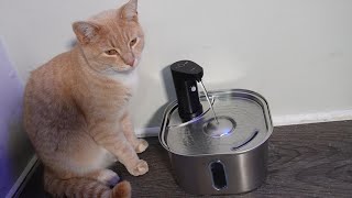 Petlipo Stainless Steel Cat Water Fountain Wireless with Motion Sensor