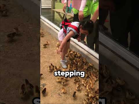 This Girl Got a Baby Chick From the Zoo 🐥❤️