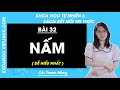 Khoa học tự nhiên 6 Bài 32: Nấm - trang 108, 109, 110 | Kết nối tri thức