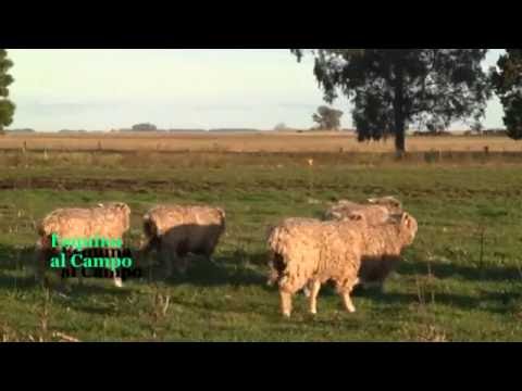 Cabaña La Reforma en Esquina al campo