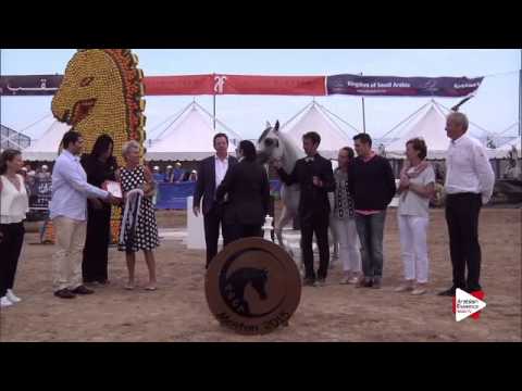 3rd place N.122 EQUIBORN KA - Menton 2015 - Junior Male Championship (Class 14)