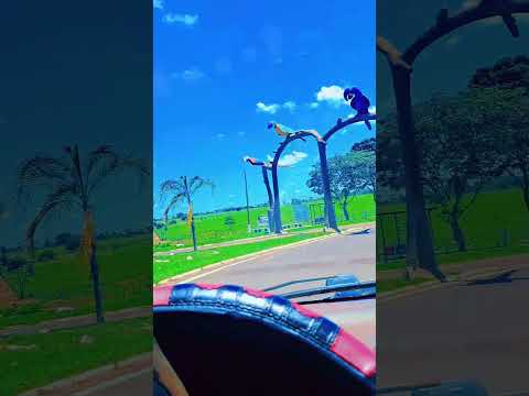 Tacuru-MS #matogrossodosul #indigenas