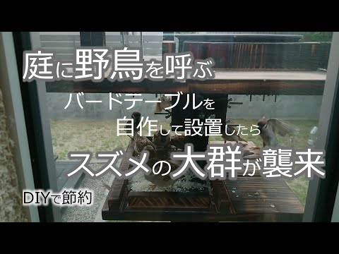 餌台の中の鳥のための砂は何ですか
