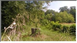 preview picture of video '149 Barber Road, Corryton, TN 37721'