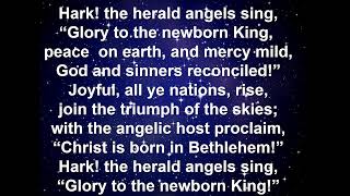 Diverse Women Collaborating