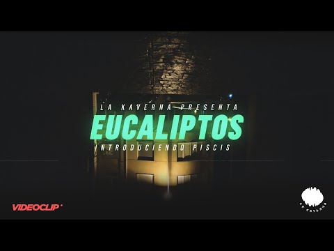 Eucaliptos