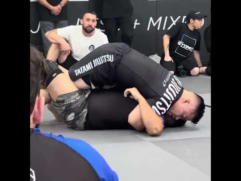 Sydney west grappling league 2023 under 80kg