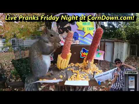 Folded Car [Dingtember] (PRANK CALL)