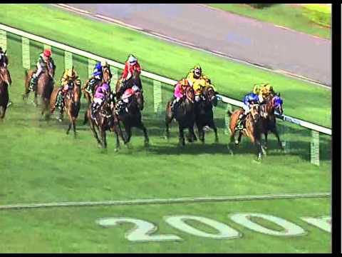 Magic Millions Juvenile Championship 2010 (Gingerbread Man)