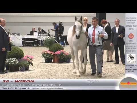 Berlin Cup Werder 2015 - Colts 3 years old (Class 8) - N.36 WIRON