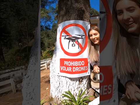 PROHIBIDO DRONES en MICHOACÁN SANTUARIOS  #drones #droneshots #michoacán #dronevideo #méxico #travel