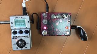 Vivie Irene66 - What To Know & Where To Buy | Equipboard