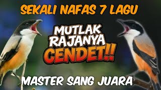 Download lagu Ini baru keren abiz ! MASTERAN CENDET FULL ISIAN TEMBAKAN MEWAH sekali nafas 7 materi mp3