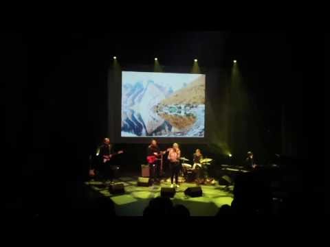 Adele - ´´When We Were Young´´ by Frida Hunshammer (LIVE)