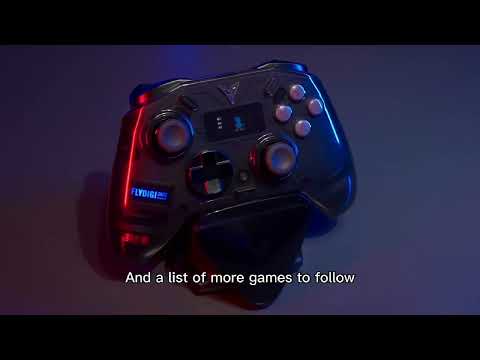 Flydigi ���彺 3 �������� �����е�