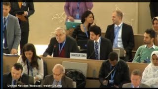 Prof. Gerald Steinberg, speaking at the UN HRC, on BDS