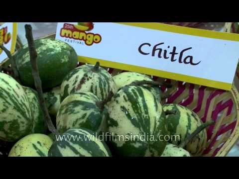 Chitla, Nafisa Pasand, Dushehari and other mangoes at display