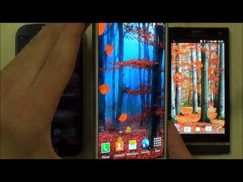 Autumn Wallpaper Video