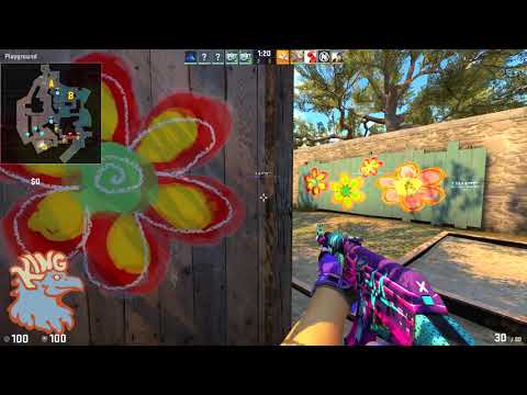 🇫🇷 RPK 29-17 / Waterboys vs Spirit - Overpass / IEM Chicago 2018 Qualifier