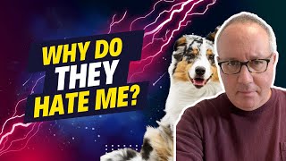 Advice To Dog Training Business Owners Of Medium Sized Dog Training Businesses...