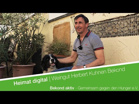 Heimat digital | Weingut Herbert Kuhnen Bekond