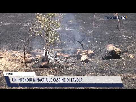 2022-07-28 PRATO - UN INCENDIO MINACCIA LE CASCINE DI TAVOLA