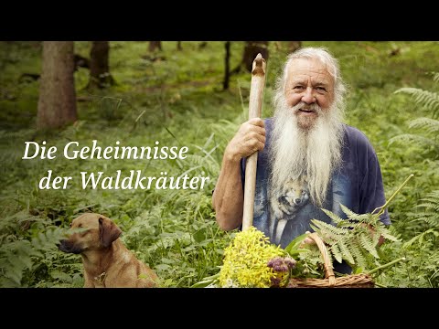 Die Geheimnisse der Waldkräuter - Helfer, Heiler und Rebellen